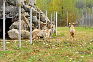 Similar image 22174110