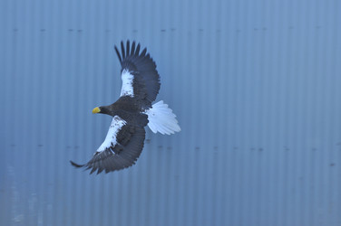 Similar image 22174112