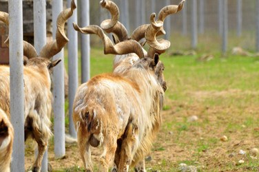 Similar image 22174113