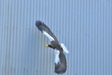 Similar image 22174114