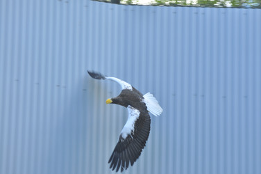 Similar image 22174115