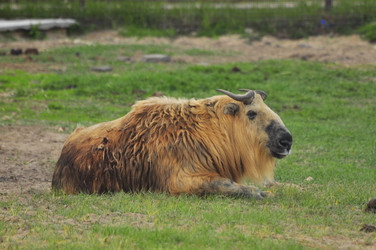 Similar image 22174117