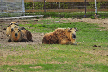 Similar image 22174118