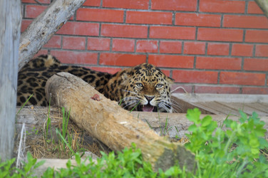 Similar image 22174119