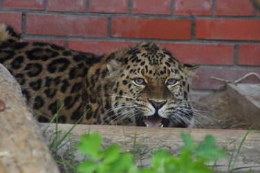 Similar image 22174120