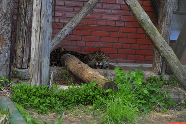 Similar image 22174121