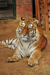 Similar image 22174122