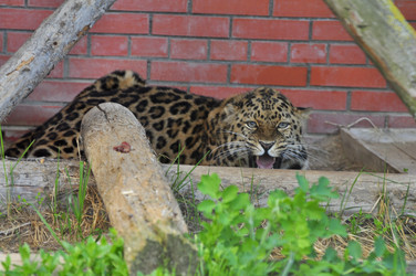 Similar image 22174123