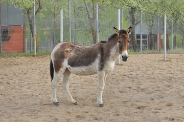 Similar image 22174124