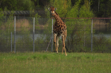 Similar image 22174126