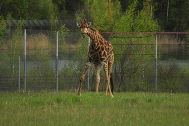 Similar image 22174127