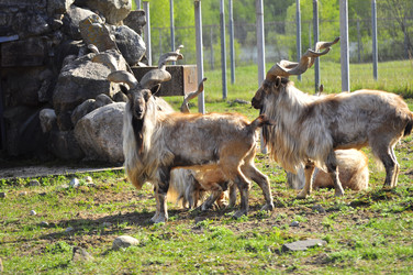 Similar image 22174128