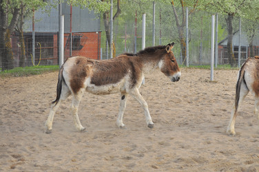 Similar image 22174129