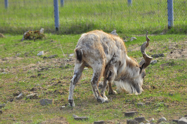 Similar image 22174131