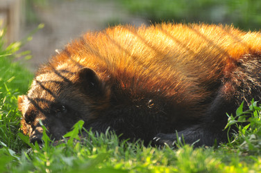 Similar image 22174133