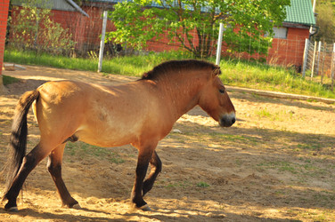 Similar image 22174134