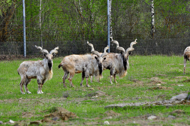 Similar image 22174137