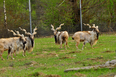 Similar image 22174138