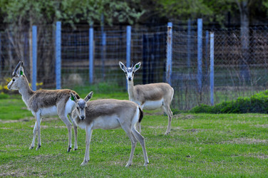 Similar image 22174139