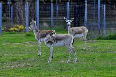 Similar image 22174140