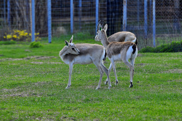 Similar image 22174141