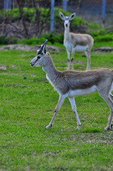 Similar image 22174142