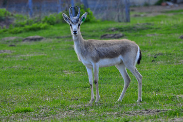 Similar image 22174143