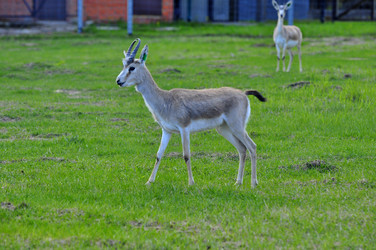 Similar image 22174144