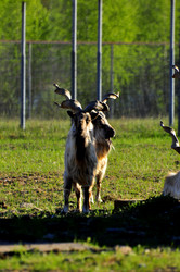 Similar image 22174145