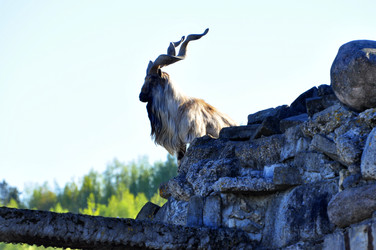 Similar image 22174147