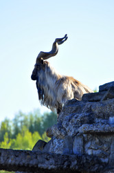 Similar image 22174148