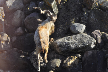 Similar image 22174149