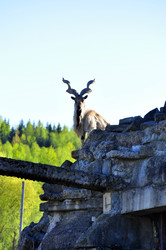 Similar image 22174150