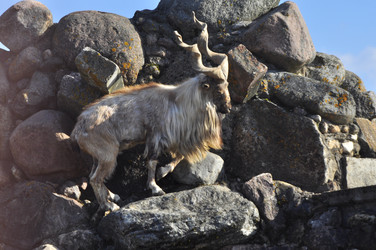 Similar image 22174151