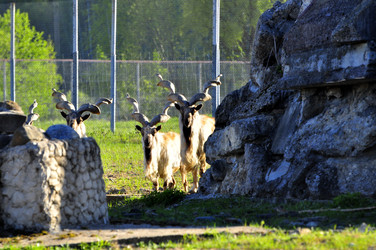 Similar image 22174152