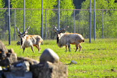 Similar image 22174154