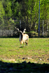 Similar image 22174155