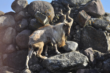 Similar image 22174156