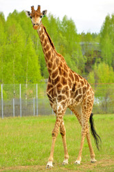 Similar image 22174157