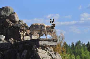 Similar image 22174158