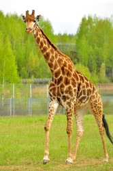 Similar image 22174159