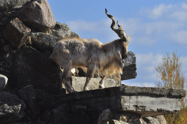 Similar image 22174160