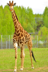 Similar image 22174161