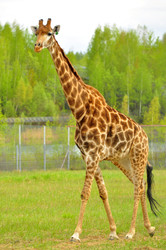 Similar image 22174162