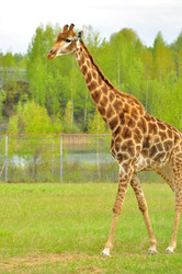 Similar image 22174163