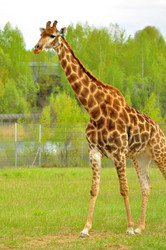 Similar image 22174164