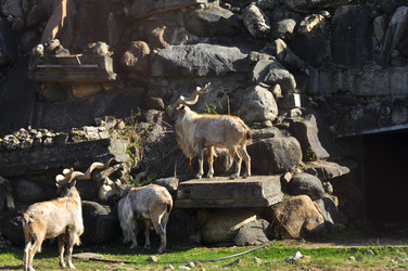 Similar image 22174165