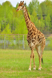 Similar image 22174166