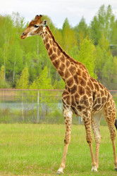 Similar image 22174167