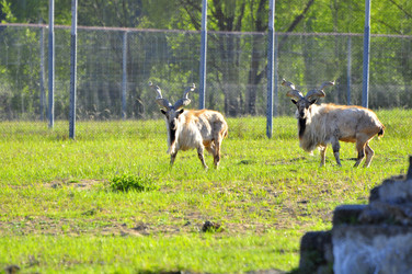 Similar image 22174168